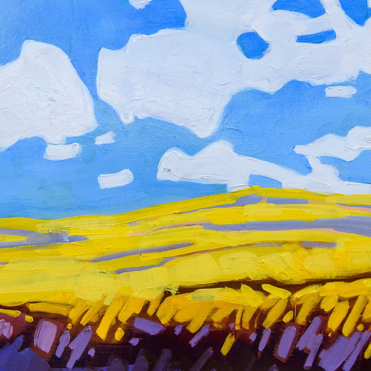 Summer Canola | 12" x 16" Oil on Panel Cameron Bird