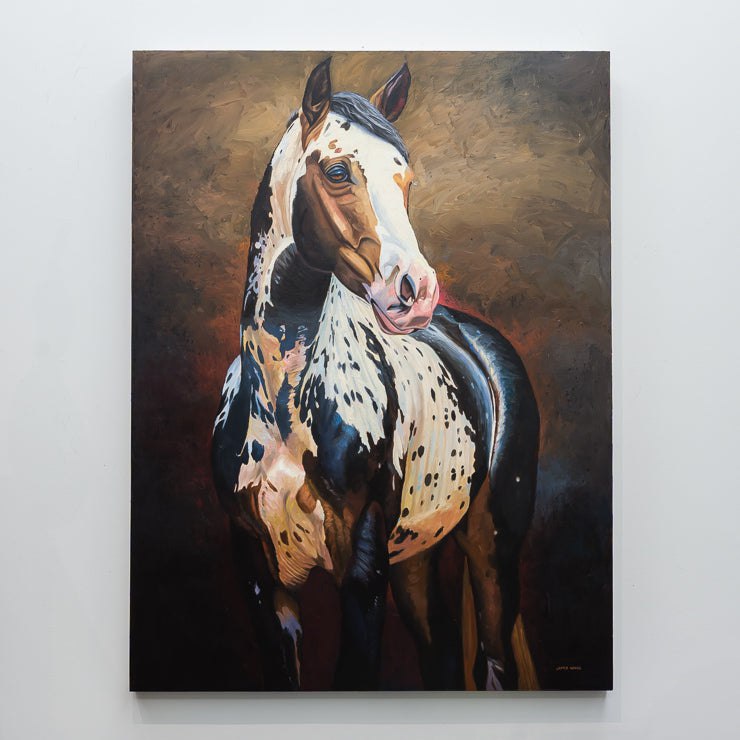Appaloosa | 48" x 36" Oil on Panel James Wiens