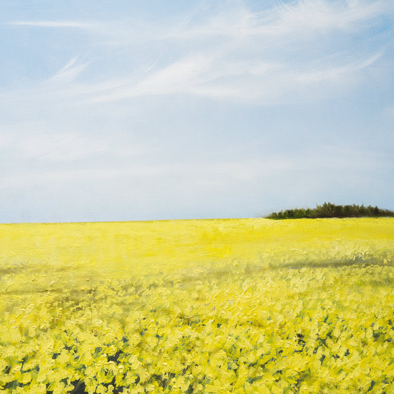 Whispers in the Sky | 32" x 32" Oil on Canvas Richard Cole