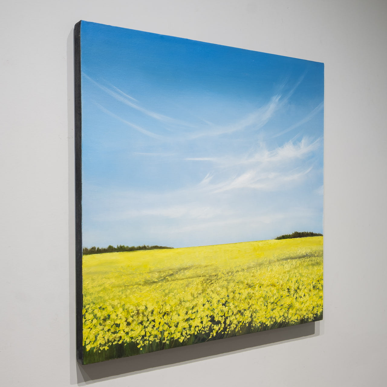 Whispers in the Sky | 32" x 32" Oil on Canvas Richard Cole