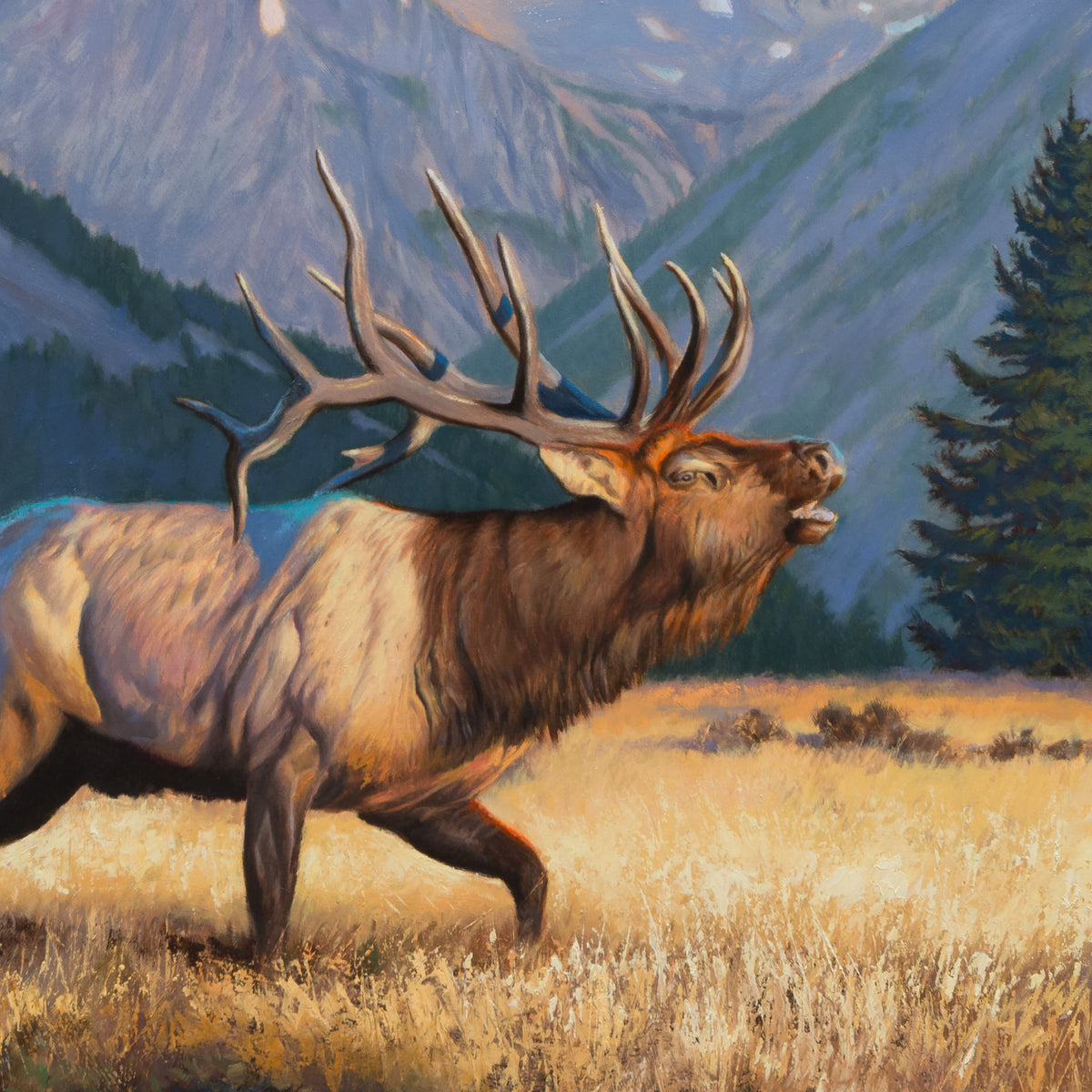 Detail of Challenge Accepted by James Wiens showing the elk’s head, antlers and layered brown coat against the mountain valley.