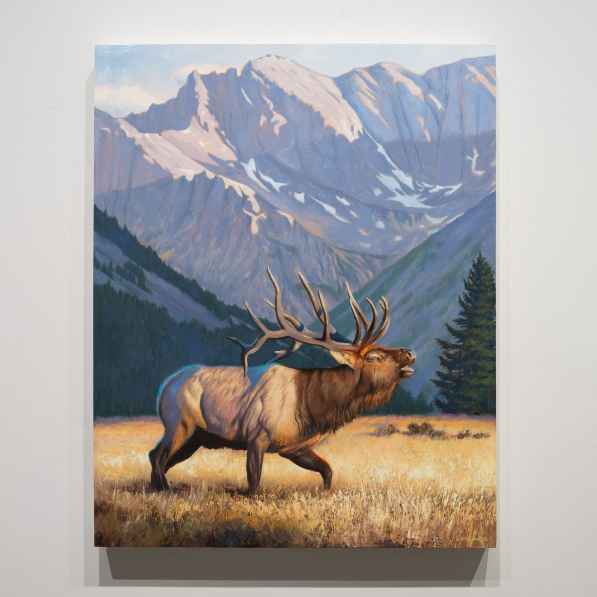 Challenge Accepted by James Wiens, 30 × 24 inch oil on board showing a bull elk crossing golden grass before steep blue-grey mountain peaks.