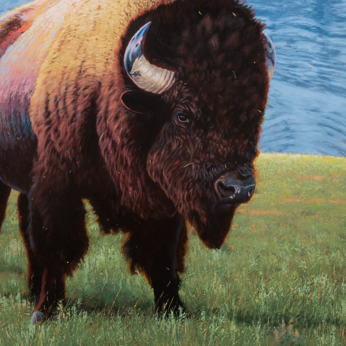 Detail of Late Spring by James Wiens showing the bison’s head, horns and dark textured coat above green meadow grass.
