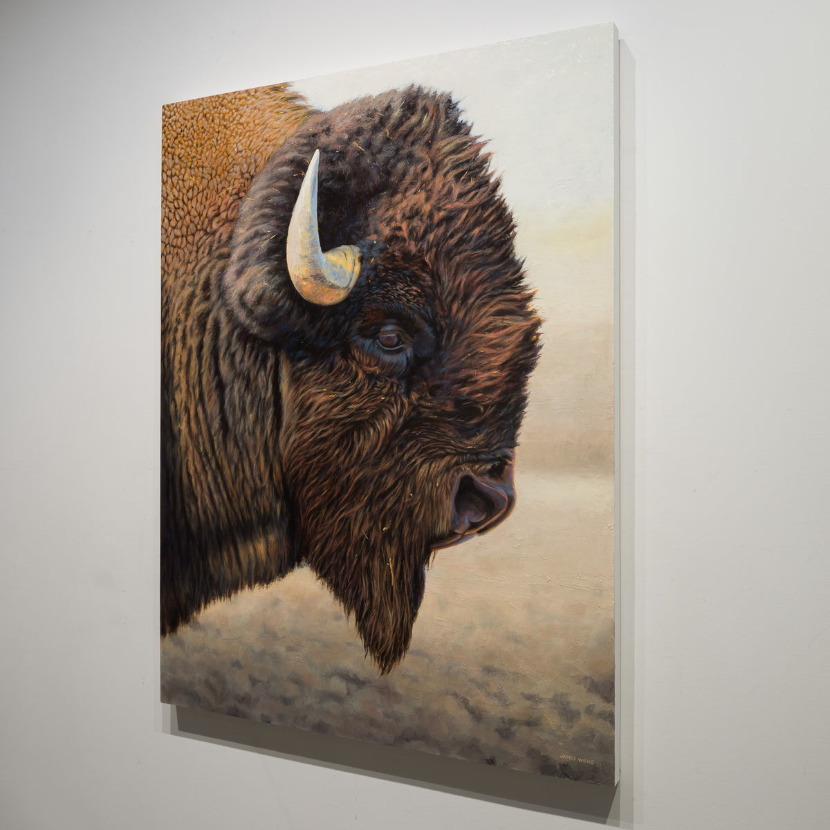 Detail of Giants Portrait by James Wiens showing the bison’s eye, horn and densely layered brown fur.