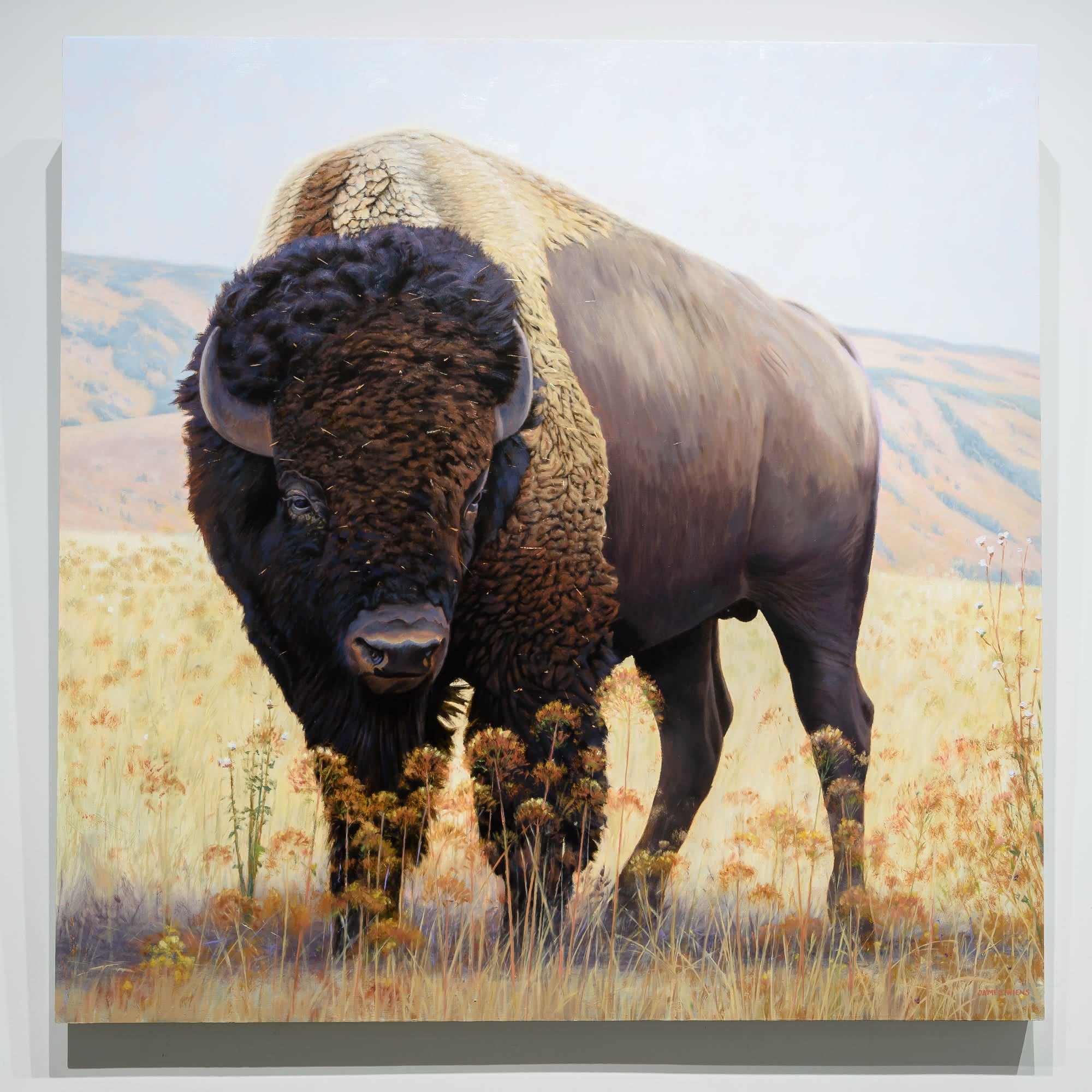 High Plains Brute | 48" x 48" Oil on Panel James Wiens