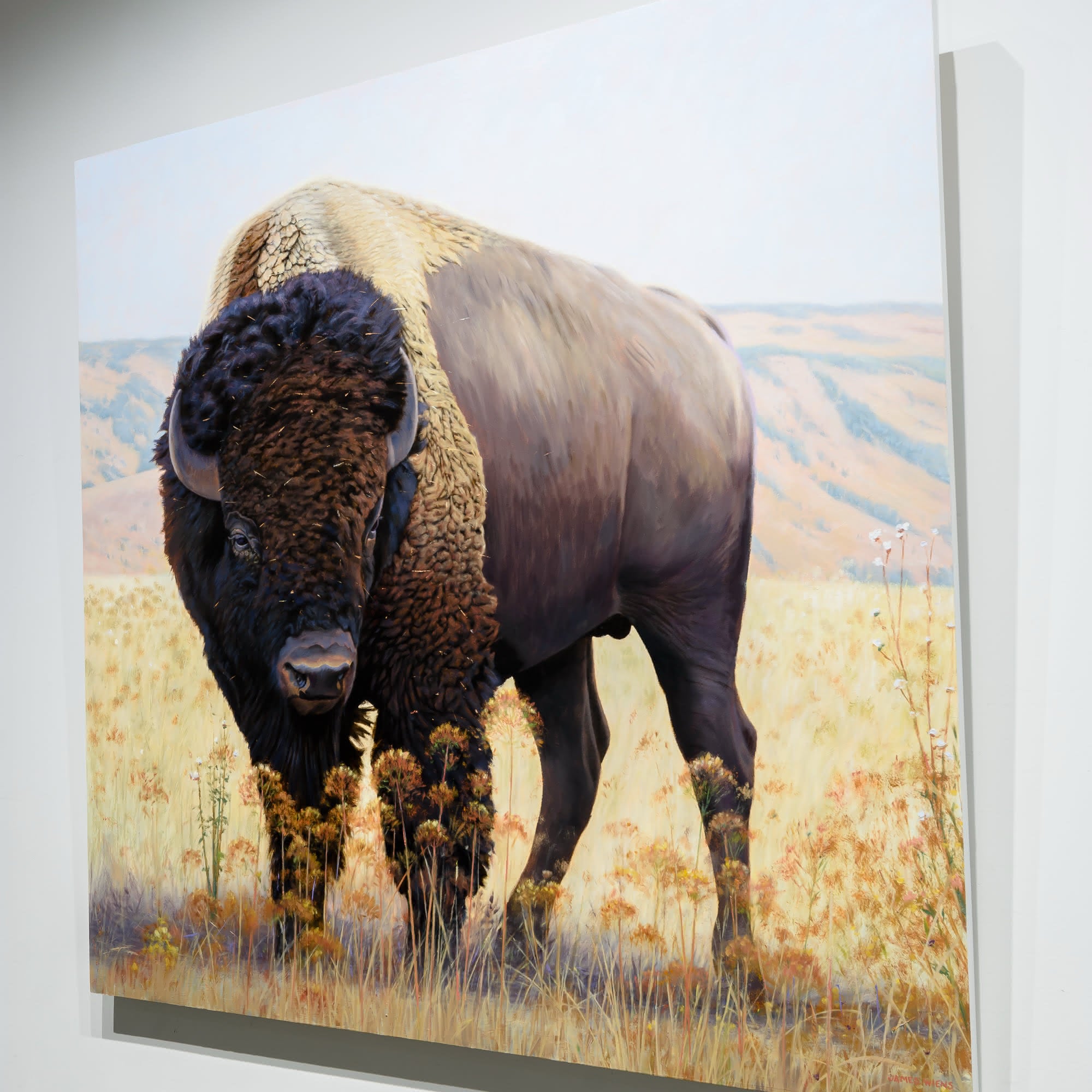 High Plains Brute | 48" x 48" Oil on Panel James Wiens