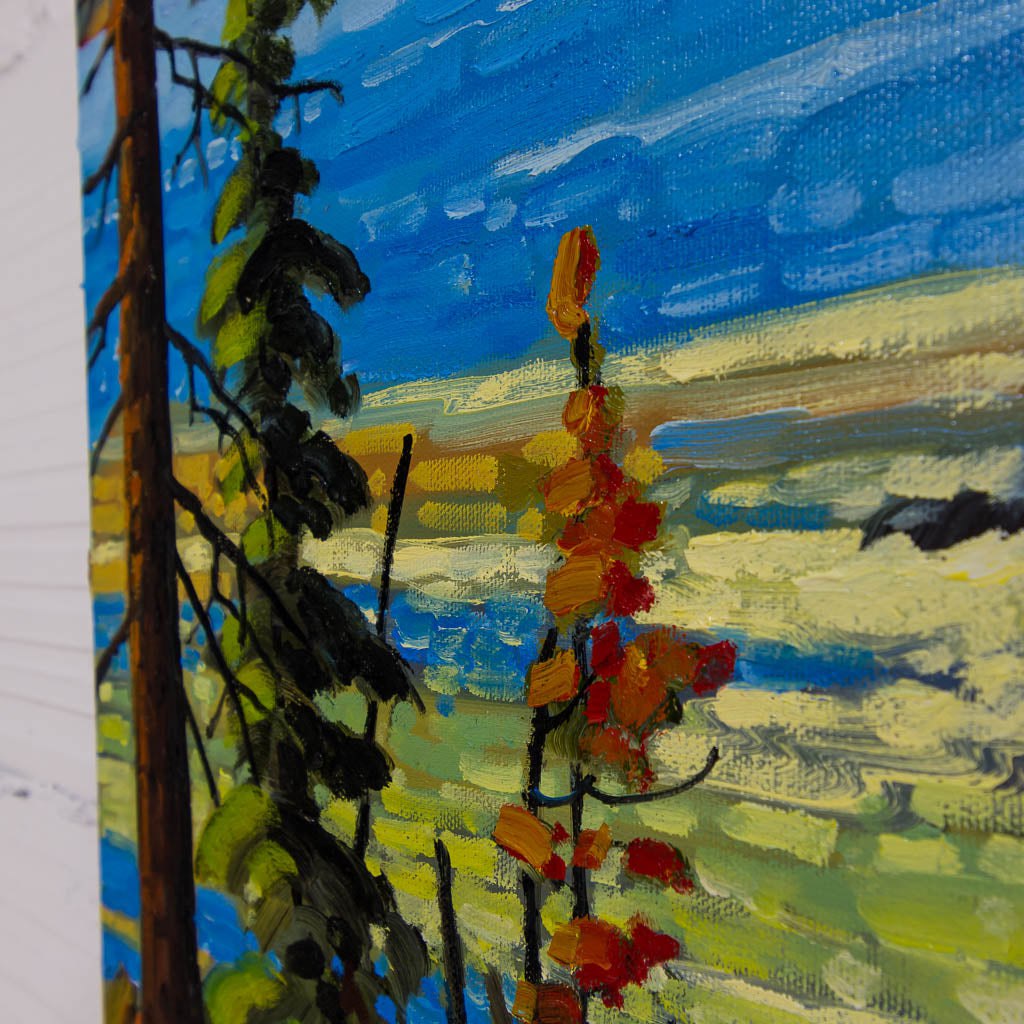 Ruckle Park, Saltspring | 20" x 24" Oil on Canvas Rod Charlesworth