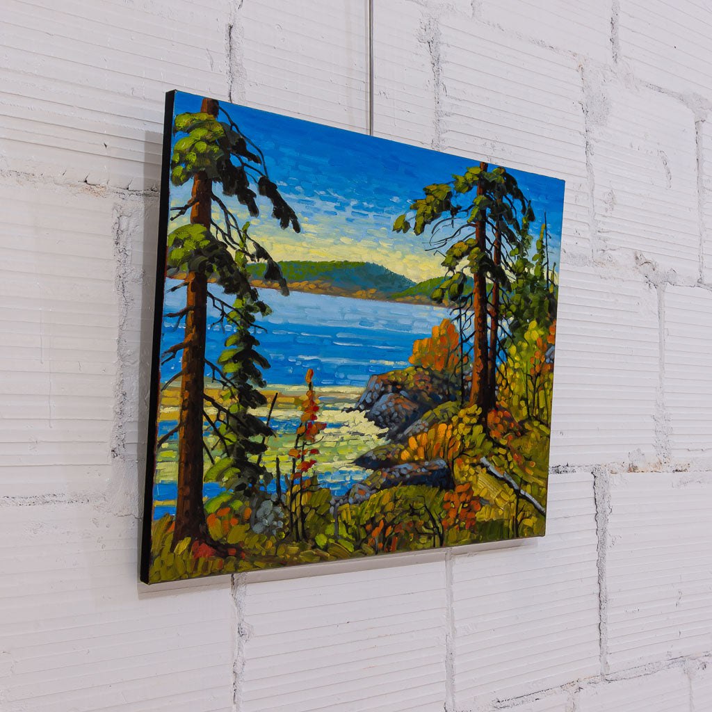 Ruckle Park, Saltspring | 20" x 24" Oil on Canvas Rod Charlesworth