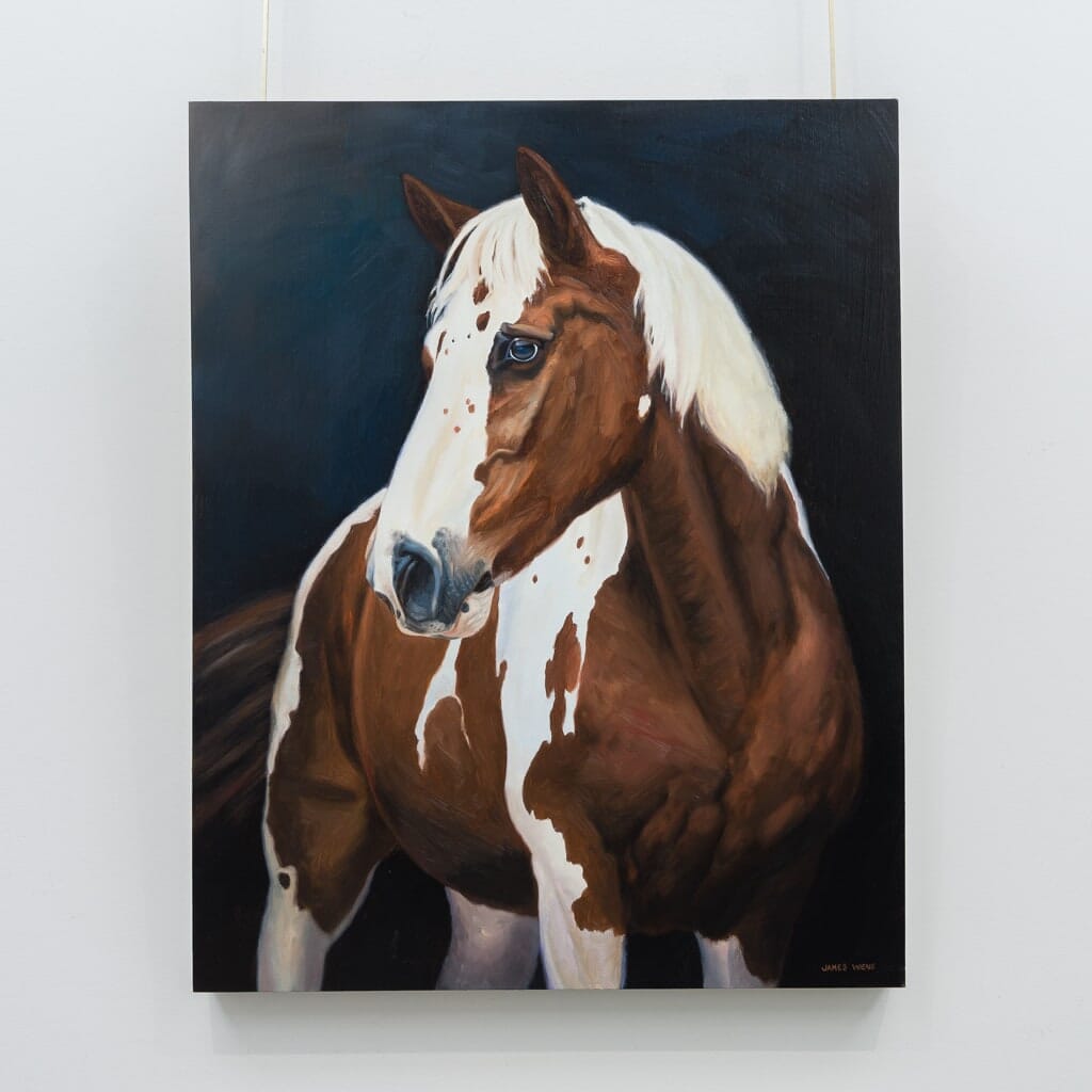 American Paint Horse | 30&quot; x 24&quot; Oil on Board James Wiens