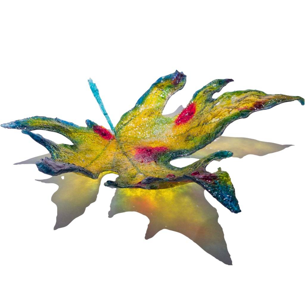 Brave Big Maple | 12.5" x 3" Pate de verre Kathleen Black
