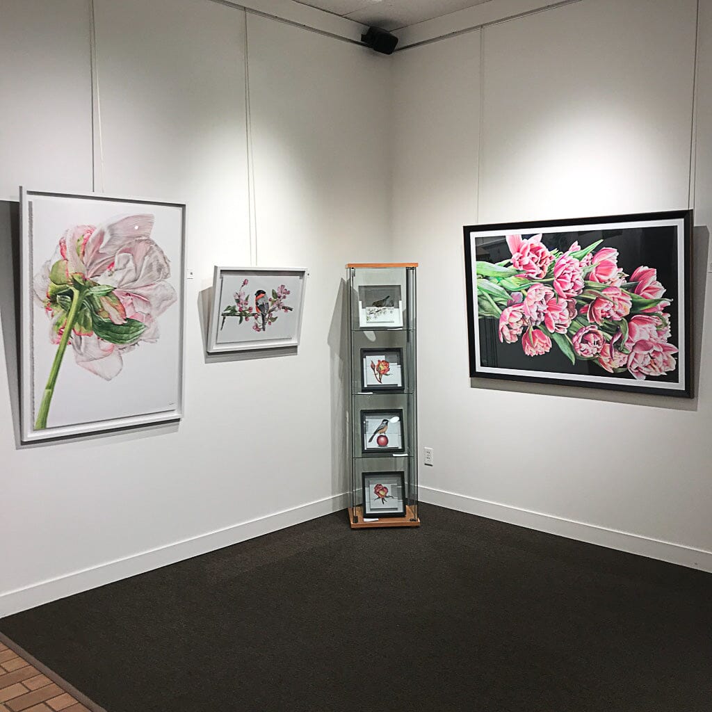 New Coloured Pencil Artworks by Jeannette Sirois in Victoria!