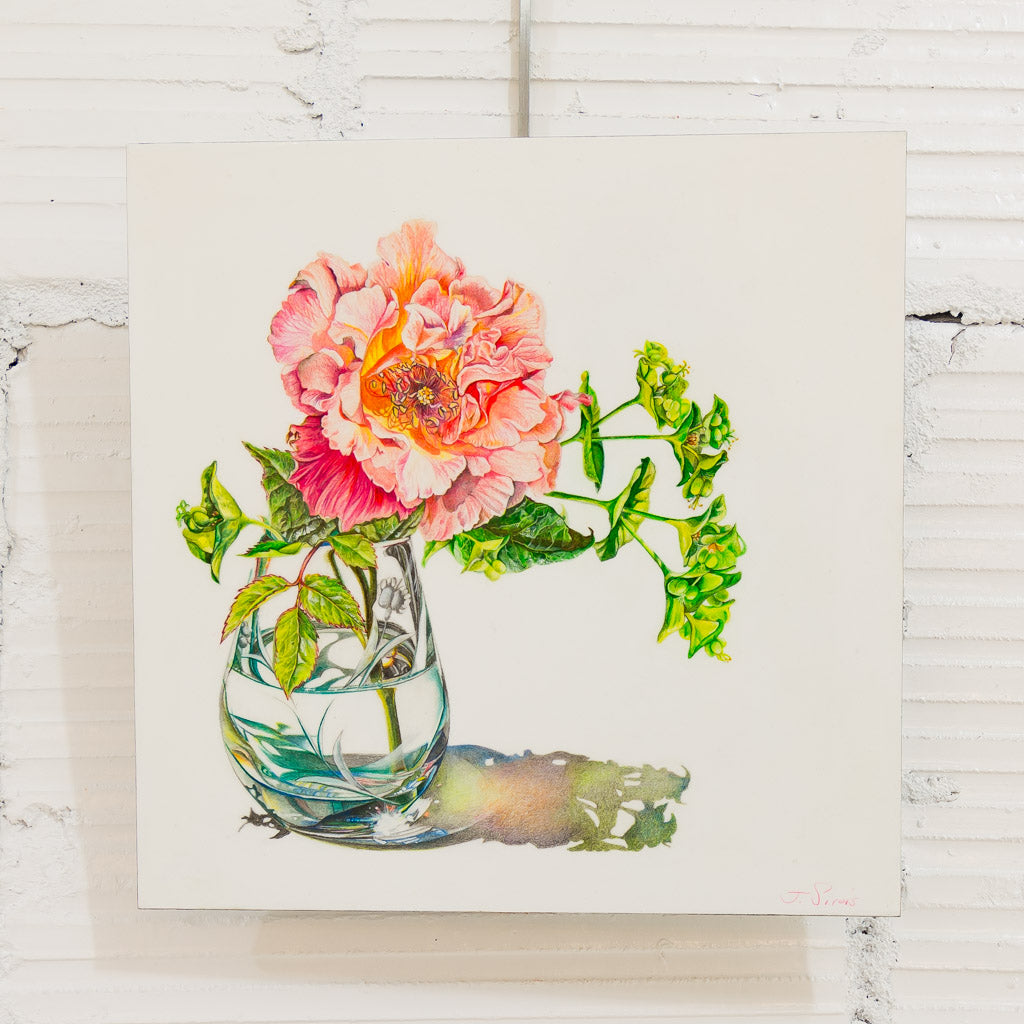 Spotlight: Jeannette Sirois