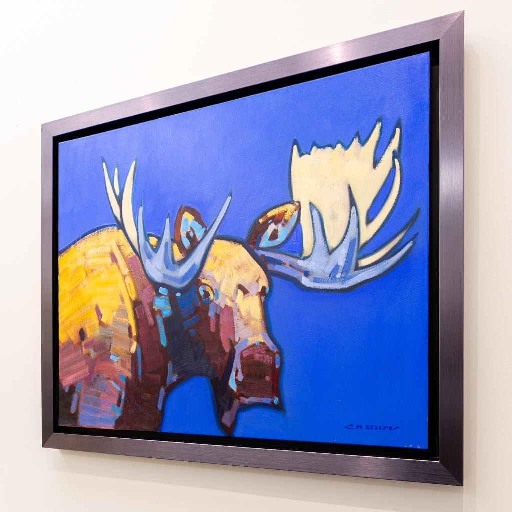 Blue Bull | 24" x 30" Oil on Canvas Cameron Bird
