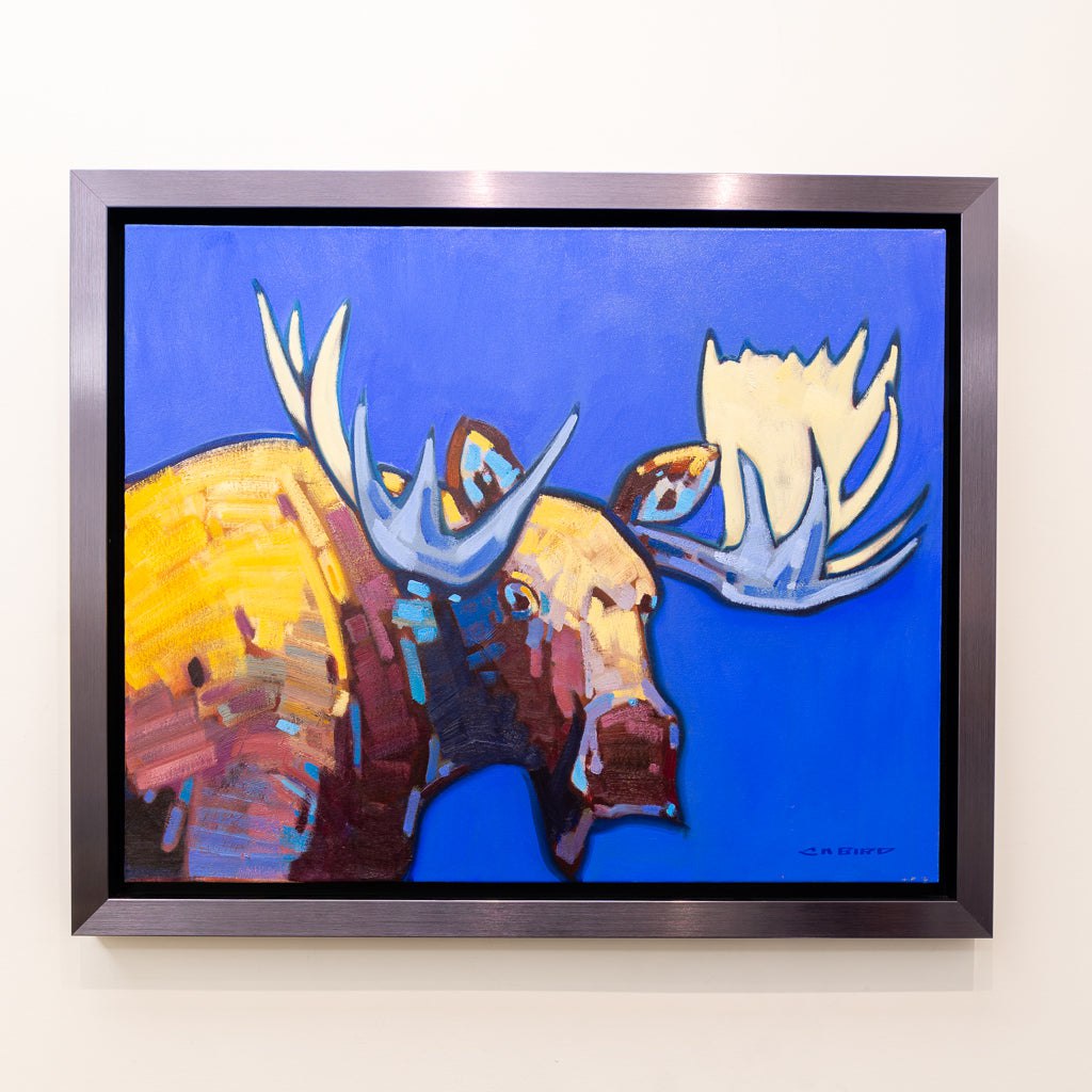 Blue Bull | 24" x 30" Oil on Canvas Cameron Bird