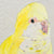 You go through life with egg on your face | 20" x 20" Mixed Media on canvas Maryann Hendriks