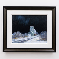 Vanishing Prairie Giants