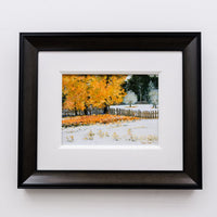 Early Winter Snowfall