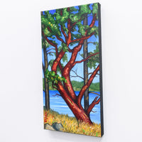 Arbutus and Firs