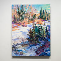 Shadows on the Frozen Creek