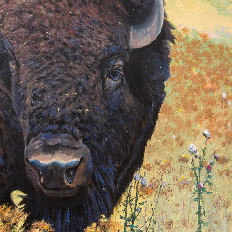 Flat Lands Buffalo | 40" x 40"