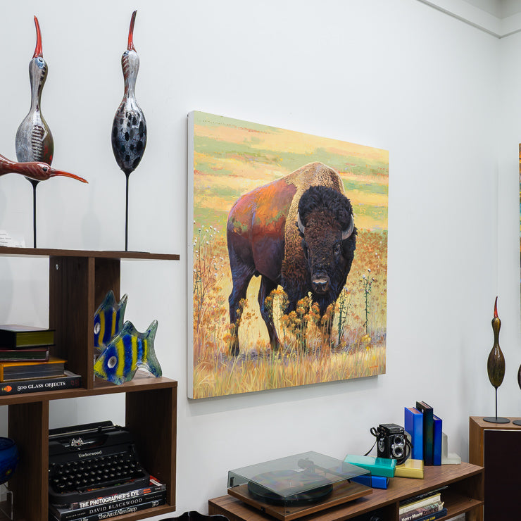 Flat Lands Buffalo | 40" x 40"