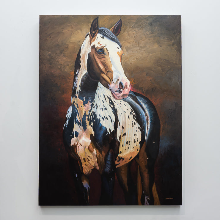 Appaloosa | 48" x 36"