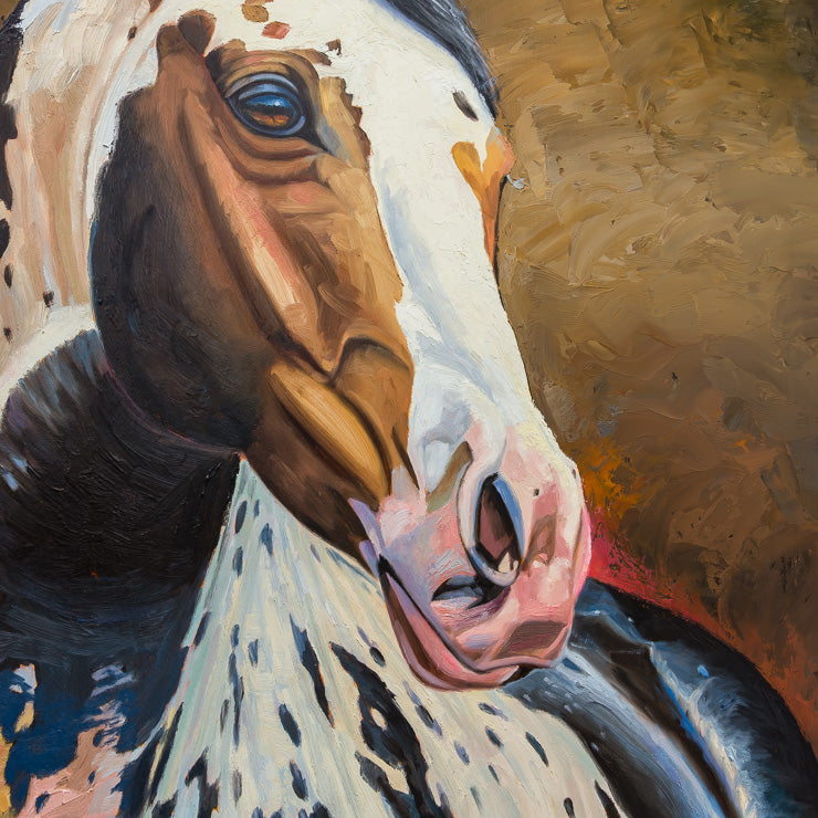 Appaloosa | 48" x 36"