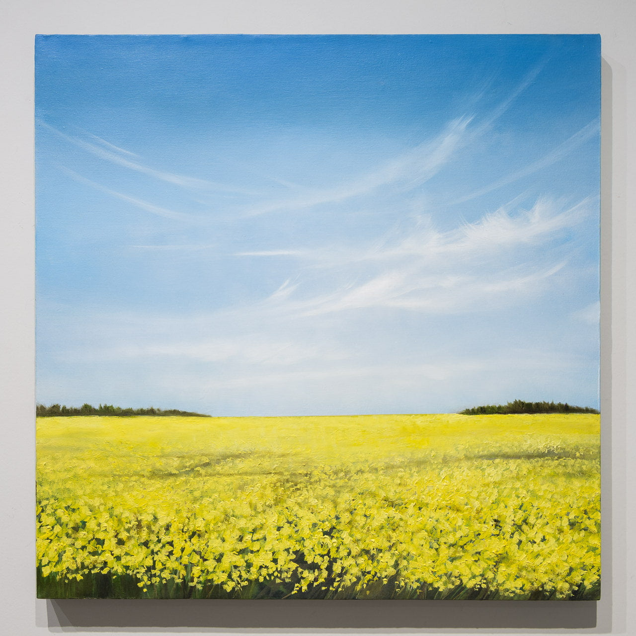 Whispers in the Sky | 32" x 32" Oil on Canvas Richard Cole