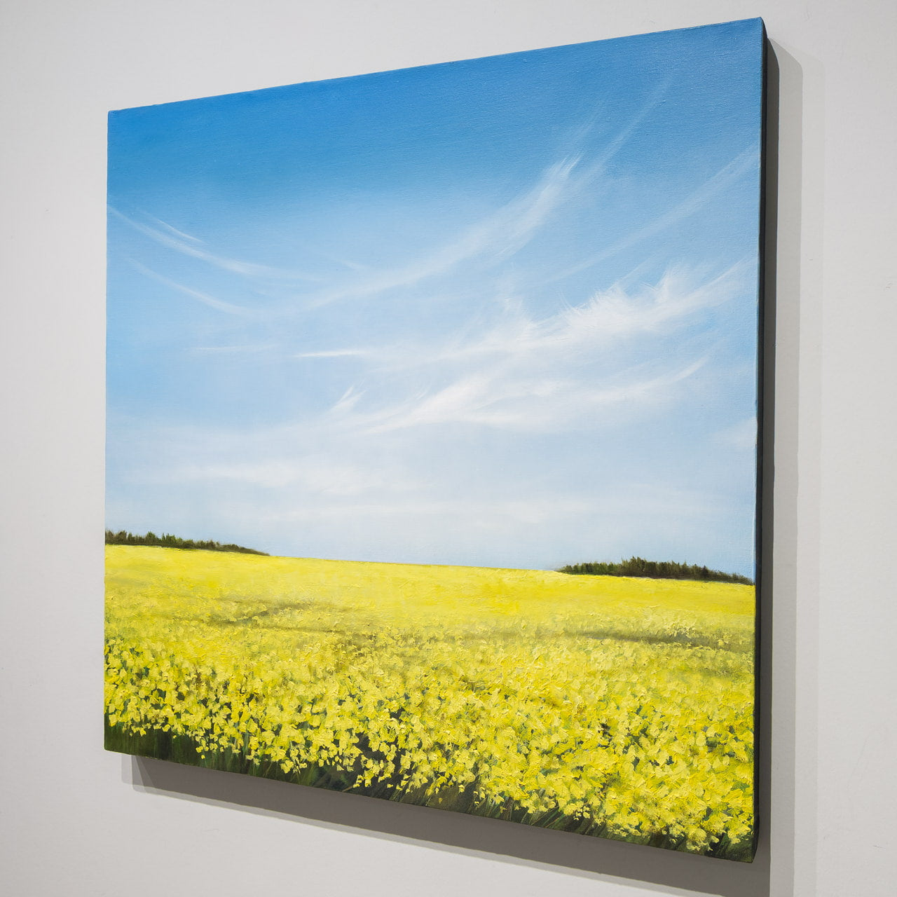 Whispers in the Sky | 32" x 32" Oil on Canvas Richard Cole