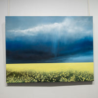 Edge of the gathering sky