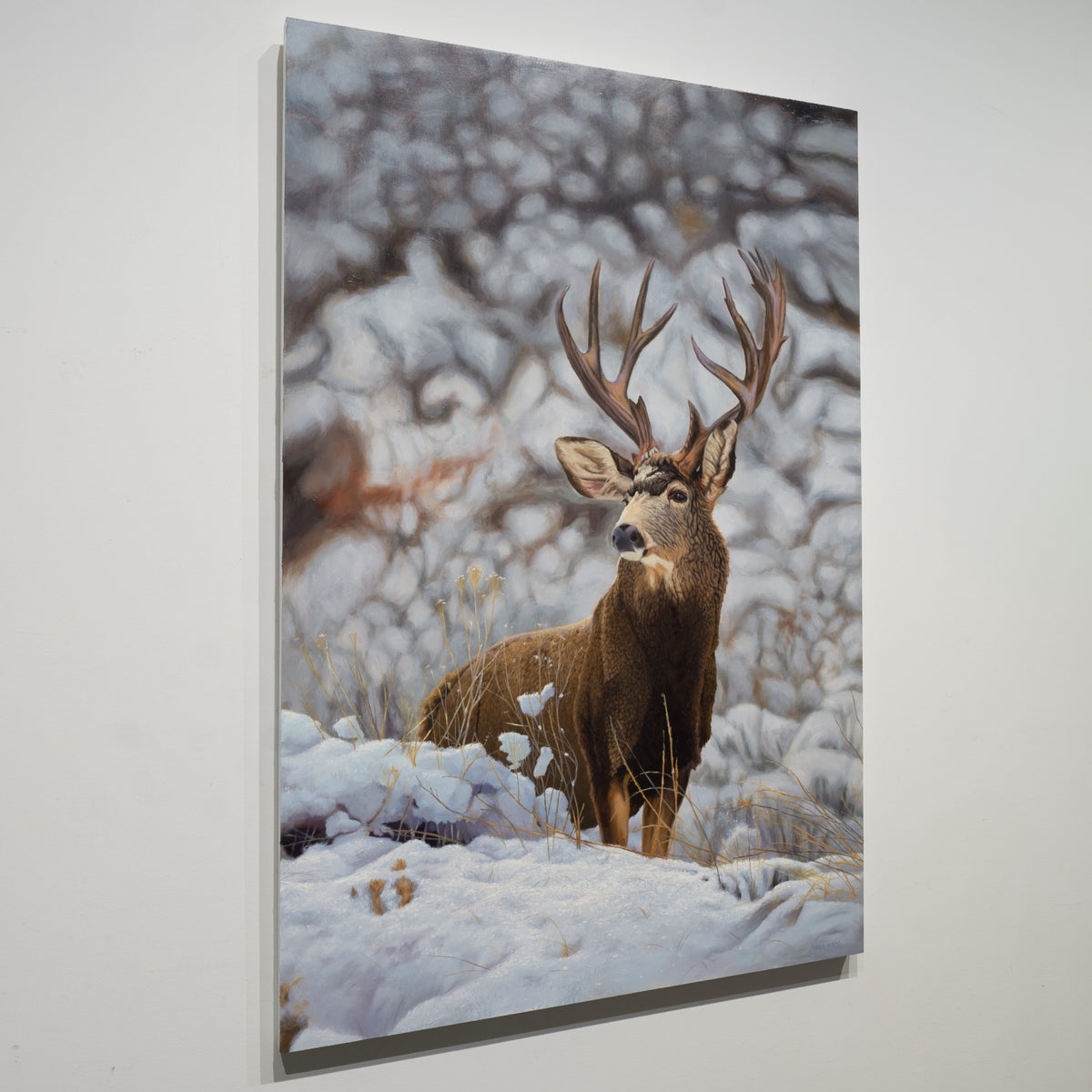 Angled gallery view of Mule Buck by James Wiens, showing the 1½-inch deep board and finished white edge.