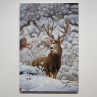Mule Buck
