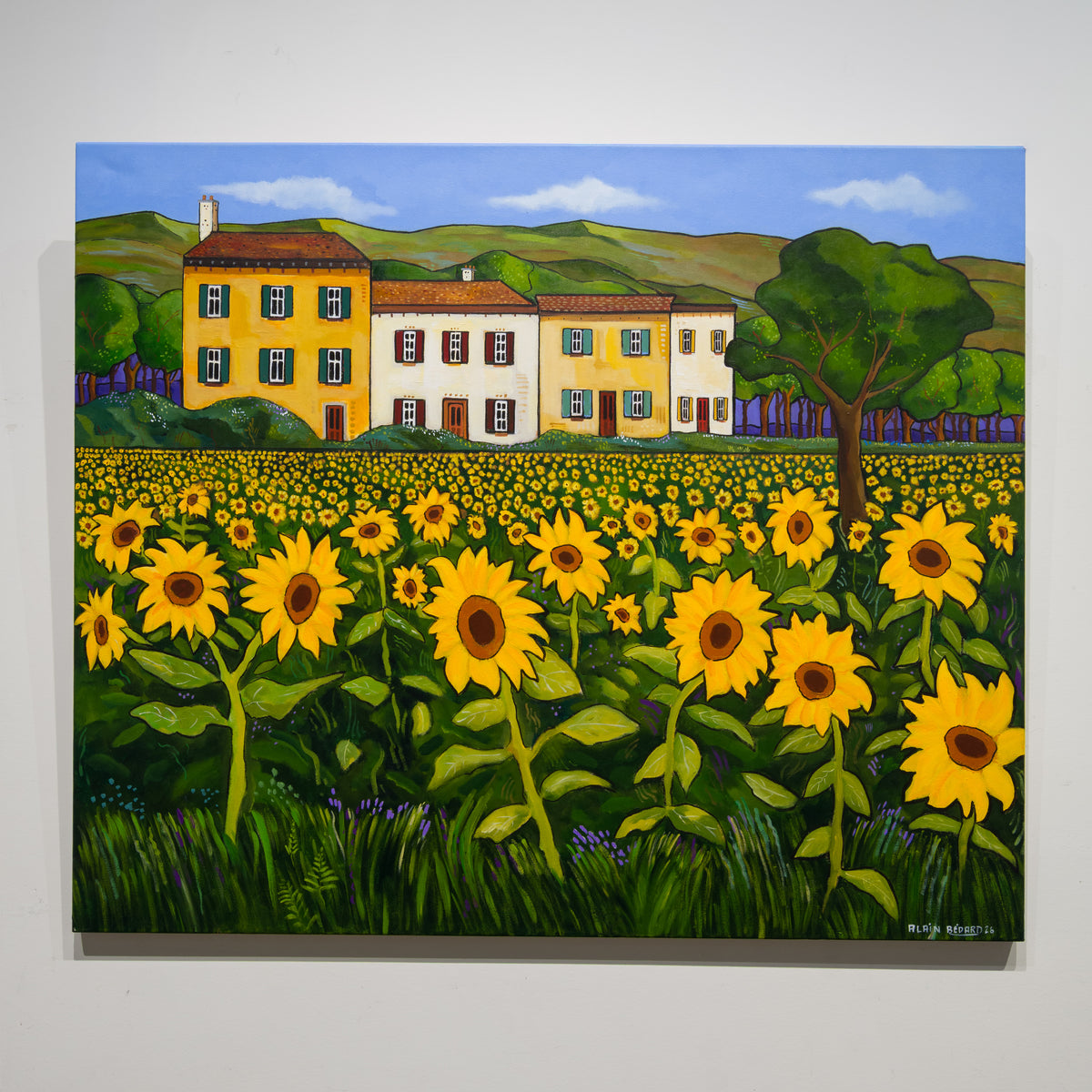 Champs de soleil by Alain Bédard, 30 × 36 inch acrylic on canvas with a sunflower field, ochre and cream houses, a broad green tree and rolling hills.