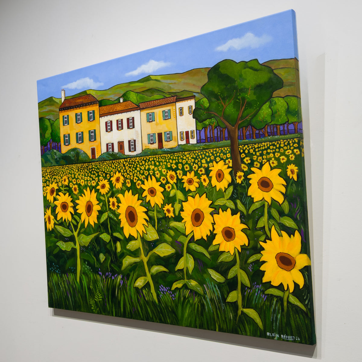 Angled gallery view of Retour en Provence by Alain Bédard, showing the unframed canvas in profile and the sunflower-field composition.