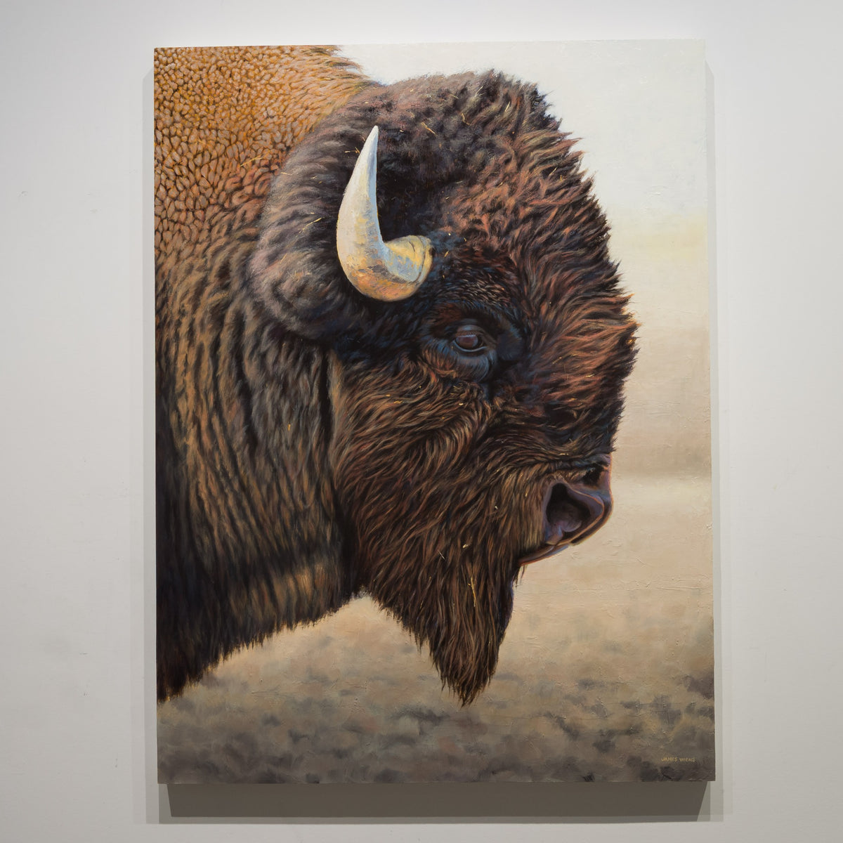 Giants Portrait by James Wiens, 48 × 36 inch oil on board featuring a close portrait of a bison against a pale neutral landscape.