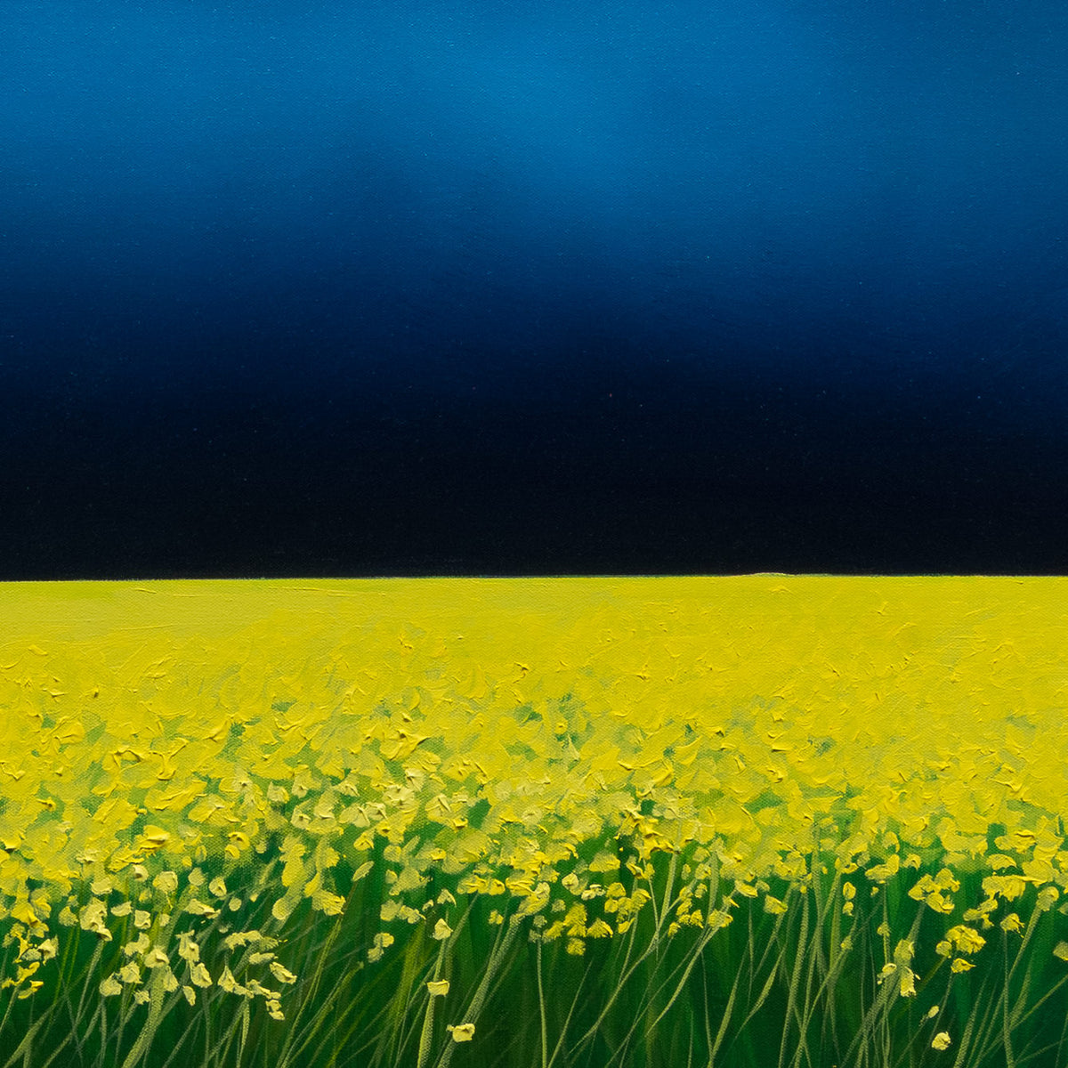 Detail of The Bright Edge by Richard Cole showing the sharp meeting of a dark blue sky and yellow field, with individual yellow flowers and green stems below.
