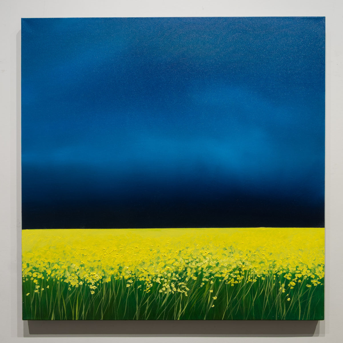 The Bright Edge by Richard Cole, 36 × 36 inch original painting of a yellow flowering field beneath a wide blue sky darkening at the horizon.