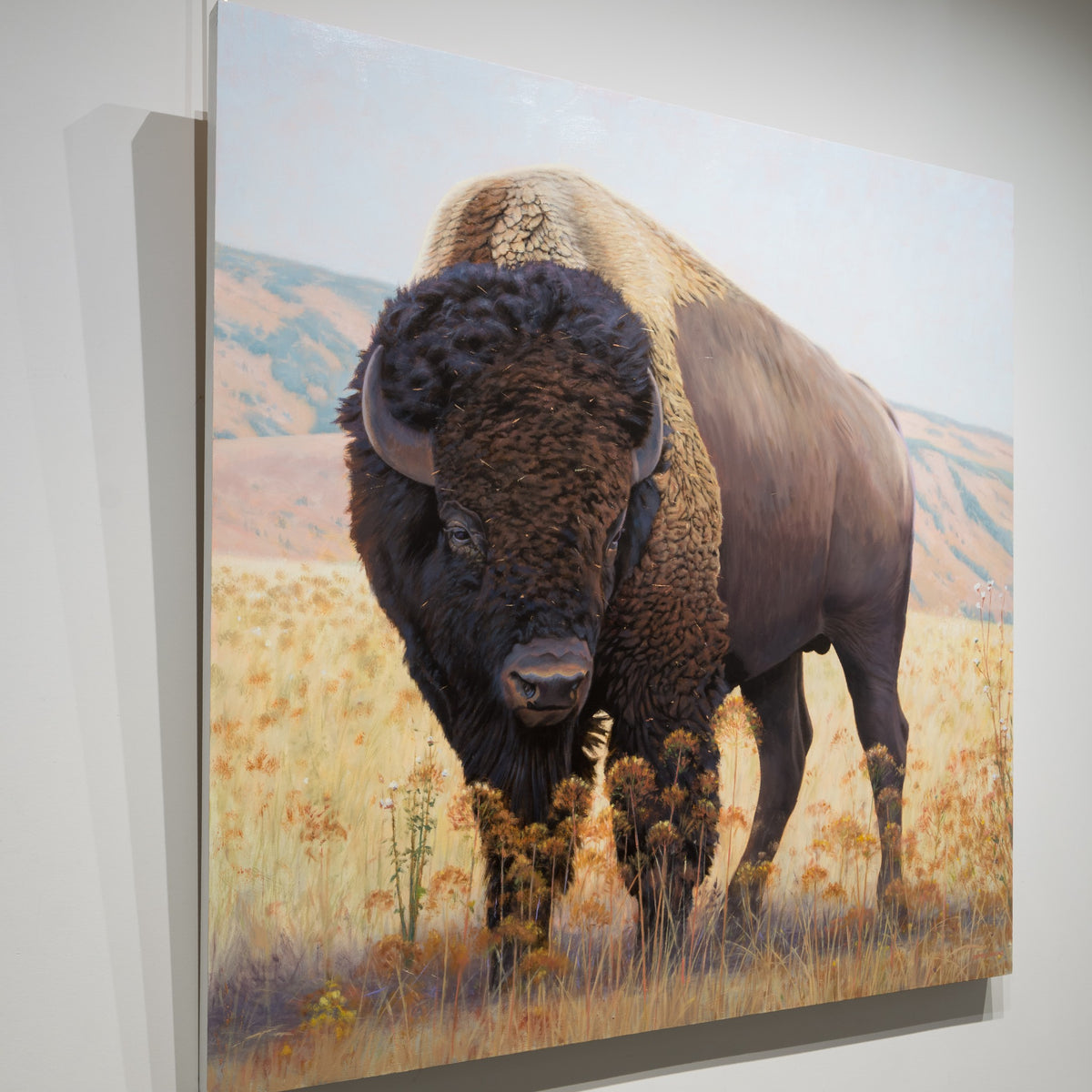 Detail of High Plains Brute by James Wiens showing the bison’s head, horn and layered dark brown coat against a pale background.