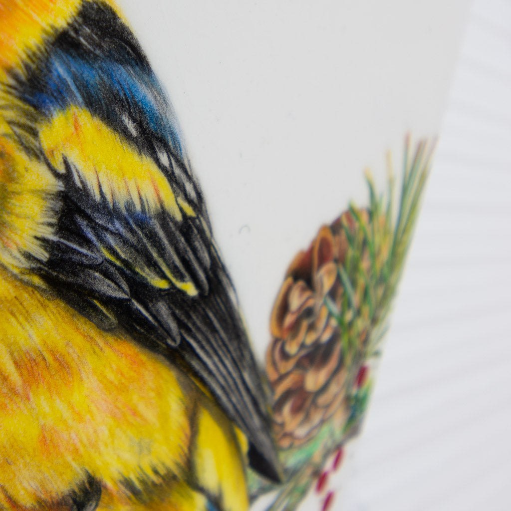 Perched Western Tanager | 10" x 10" Coloured Pencil on Paper Mounted on Aluminium Jeannette Sirois