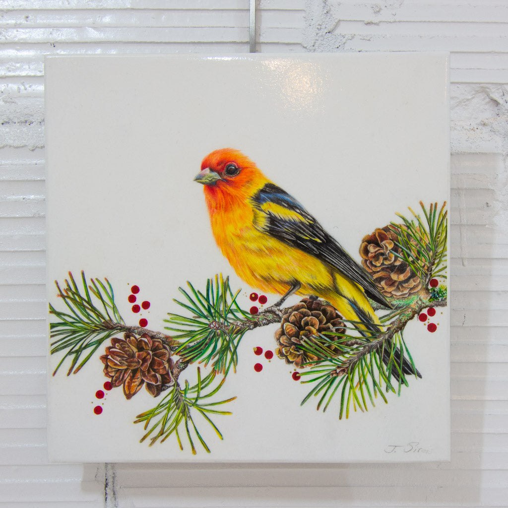Jeannette Sirois Perched Western Tanager | 10" x 10" Coloured Pencil on Paper Mounted on Aluminium