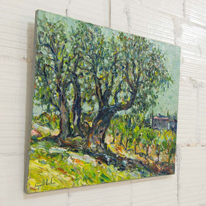 Raynald Leclerc À l'ombre des oliviers, Domaine Souviou, Provence | 24" x 30" Oil on Canvas