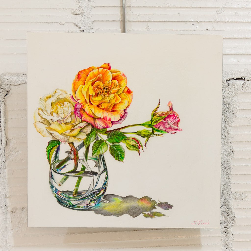 Crystal Rose #2 | 10&quot; x 10&quot; Coloured Pencil on Paper Mounted on Aluminium Jeannette Sirois