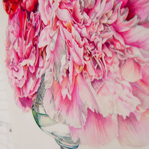 Jeannette Sirois Cascading Peonies | 20" x 30" Coloured Pencil on Paper Mounted on Aluminium