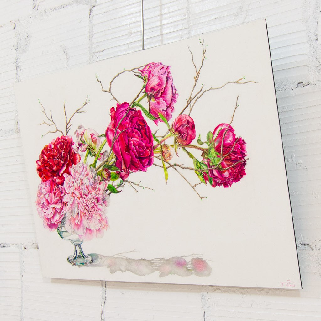 Cascading Peonies | 20" x 30" Coloured Pencil on Paper Mounted on Aluminium Jeannette Sirois