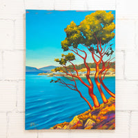 Sentinels of the Sea