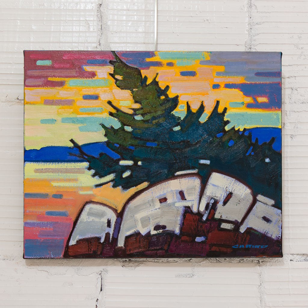 Cameron Bird Windswept Outcrop | 16" x 20" Oil on Canvas