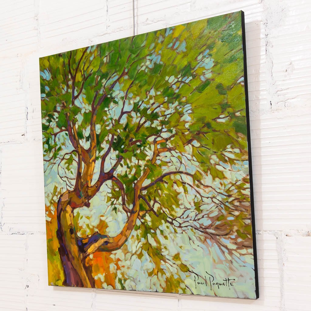 Arbutus Tree | 30" x 30" Oil on Canvas Paul Paquette