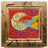 Night Birding in Central Saanich