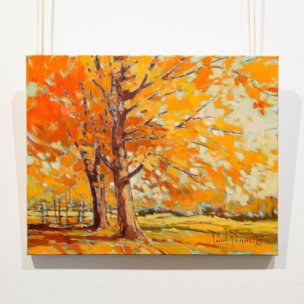 Autumn Trees | 16&quot; x 20&quot; Oil on Canvas Paul Paquette