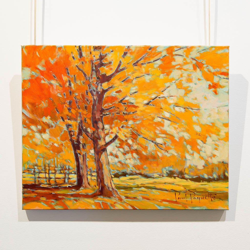 Autumn Trees | 16" x 20" Oil on Canvas Paul Paquette